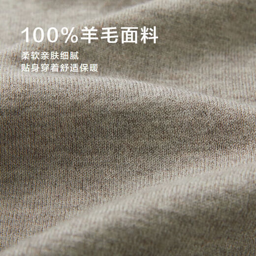 HLA HAILAN Home Pull Hommes Spring and Automne Light Business Classic Series Sweater Men