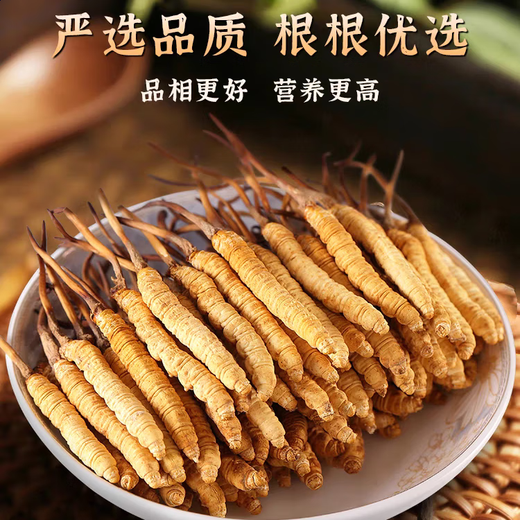 Kangyuan Tibetan grassland Cordyceps high-altitude dry goods Cordyceps health supplements gifts for parents, elders and colleagues high-end gift boxes, 3 sticks per gram, 50 grams [Exclusive gift box]