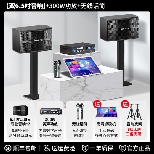 HYUNDAI modern home ktv audio set home karaoke home theater karaoke jukebox high-power speaker combination dual 6.5-inch speaker + 300W amplifier + wireless microphone