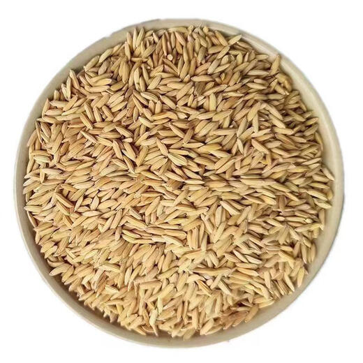 Sumi grows rice 50Jin Jin is equal to 0.5kg Feed chickens, ducks, geese and pigeons cheap wholesale 25KG farmers grow rice with shell millet rice fine fine grow rice