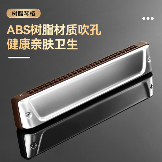 Kongsheng (Kongsheng) Alemán Gong Gong 24 hoyos Polifónicos armónicos Nivel de rendimiento profesional Adulto Advanced Accent Cafg Recomendación clave para principiantes Polifónico C Key [Recomendado para principiantes] + Materiales de aprendizaje