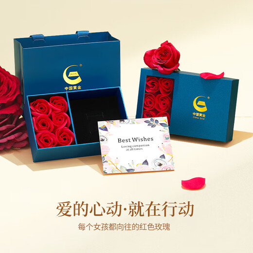 China Gold (CHINA GOLD) Möbius Platinum Ring Female Couple Ring Proposal Ring Birthday Gift for Girlfriend Birthday Wife Platinum Möbius Couple Ring