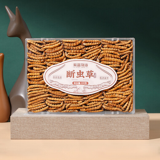 紫蓝花海100g 大号断草 冬虫夏草新干高品质断虫草送父母【健康礼盒】