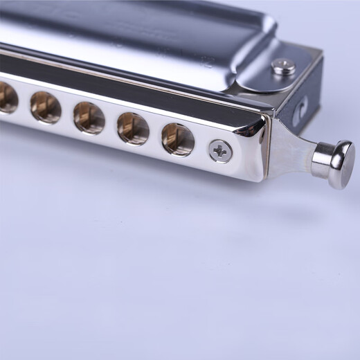 SEYDEL allemagne SEYDEL harmonica chromatique 12 trous grille métallique SAXONY clé G 12 trous