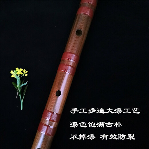 管子先生管子先生精品苦竹大漆笛子防裂竹笛专业手工演奏横笛 G调