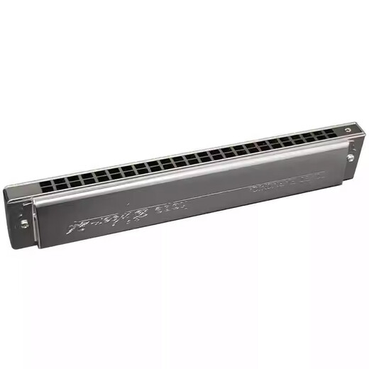 Tongbao Neues 24-Loch-Polyphonic Mundhonica Advanced Adult Adult Professional Performance Grade Electrloplated Seat Plate Mharmonica B Tune + Vollständige Geschenke