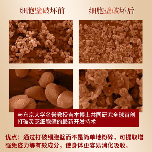 KOBL灵芝孢子粉胶囊120粒日本高破壁率灵芝孢子油体弱多病术后放化疗 推荐【买5送2原品】周期食用 效果更好