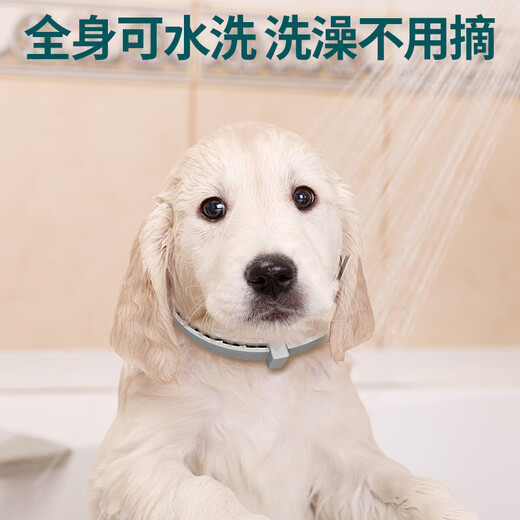 XINGKU cat deworming collar pet cats use external fleas lice ticks and ticks to prevent mosquito bites [Cat] deworming collar