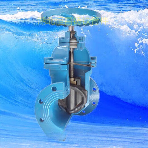 Factory direct sales ductile iron soft seal flange gate valve DN50-DN600 water supply flange valve fittings DN250