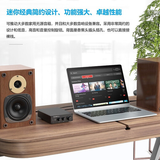 FOSI Audio Audio TB10D Digitalverstärker Fieber-Ebene Heckverstärker HiFi-Stromverstärker HiFi-Lautsprecher Professionell verkabelt Hochleistungsgeräte für den Hausgebrauch Schwarz [32 V/5A-Stromadapter]