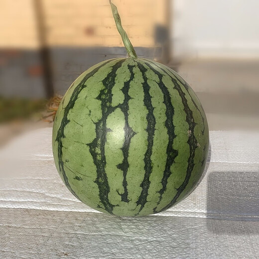 Zhongke Maohua vegetable and fruit seeds Xiyu Zaojia 8424 watermelon seeds Xinjiang 8424 Kirin watermelon seeds high purity Xiyu Zaojia 8424-1000 capsules/box