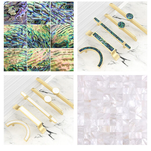 蒙爵（MENGJUE）黄铜衣柜门拉手轻奢北欧抽屉现代简约黄铜贝壳橱柜门柜子把手 GBT12178C(花鲍鱼)一对