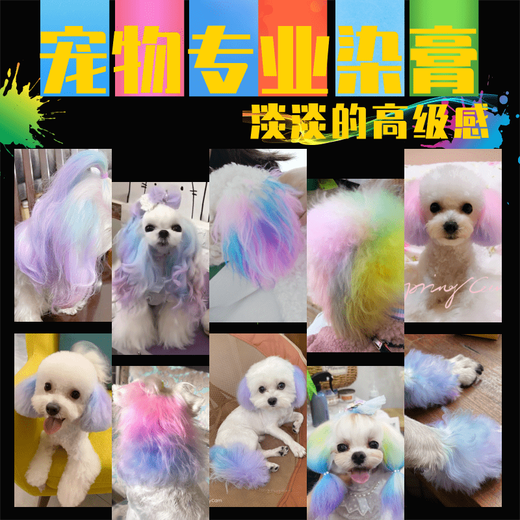 OIMG dog hair dye hair pet special white Bichon Teddy animal cat dye hair cream Pomeranian supplies orange 120g with tools
