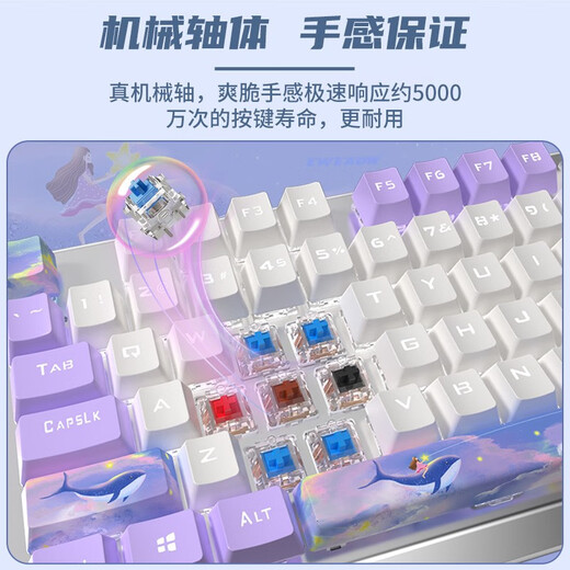 Forward TK870 Whale Ru Zishui Mechanical Keyboard 87/104 Key Wired Girls Office Games Esports Cute Small Computer Laptop External Whale Ru Zishui - White Light 87 Key [Full Key Hot Swap - 30 Lighting Effects] Crispy Blue Axle