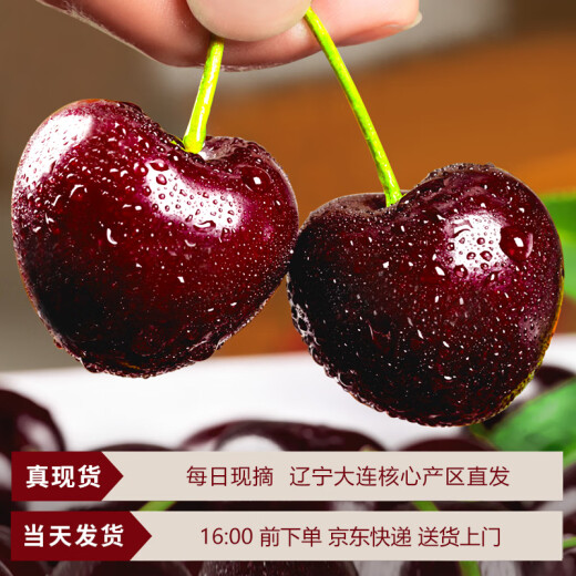 Zhixianwan cherry domestic cherry jjjj grade Dalian Meizao cherry black pearl seasonal fruit 2.5kg straight from the source
