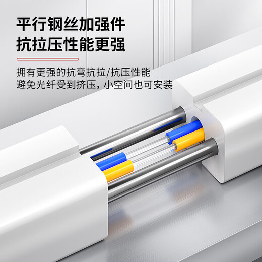 安普康（AMPCOM）室内单模SC接头单双四芯成品皮线光缆低烟无卤蝶形FTTH自承式1/2两/4芯2钢丝G657a1长飞光纤跳线 【不带SC接头】室内单模 2芯 白 50米
