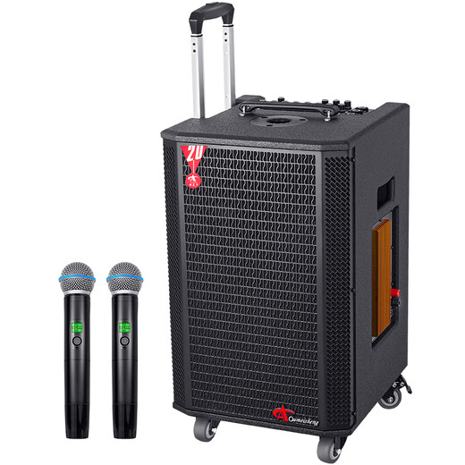 European and American high-end outdoor K-song dedicated sound card audio all-in-one machine professional singer live broadcast home KTV square dance performance high-power mobile trolley Bluetooth speaker with microphone A1 10-inch subwoofer 800W 2* headset + gift package