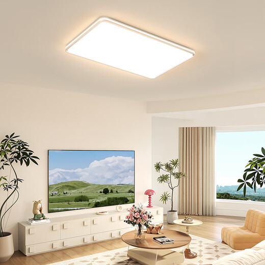 OPPLE 1.2m full spectrum LED ceiling lamp living room ceiling lamp headlight main light self-built house super large APP smart lamp 200 watt intelligent control / super luminous flux 12000LM