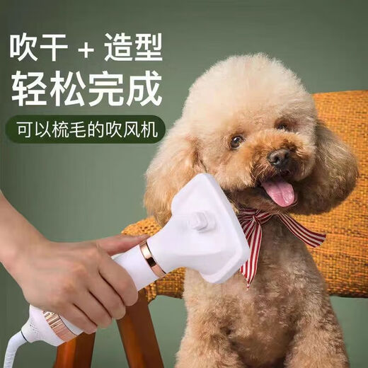 Pet hair dryer, all-in-one quick-drying Bichon Teddy fluffy comb, cat and dog bathing and blow-drying tool, flagship powder, dual-core motor + protective coating + temperature control, twenty-year warranty (millions, pursuit of quality)