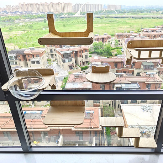 吸盘猫墙壁挂式免打孔玻璃猫爬架吊床实木猫窝豪华大型梯子太空舱猫抓板耐磨耐抓磨爪猫玩具上墙家具 小跳台