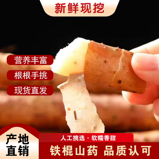 Authentic iron rod yam, Huaiyam yam, iron rod yam, Jiaozuo Wenxian pink glutinous sweet fresh yam, iron rod yam 5Jin Jin equal to 0.5kg, with box 60cm-80cm