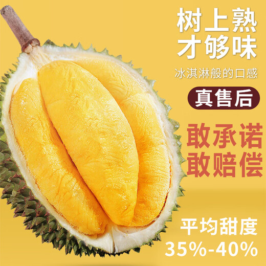 京地达马来西亚猫山王榴莲 净重4.5斤单果4.5斤 液氮冷冻源头直发包邮