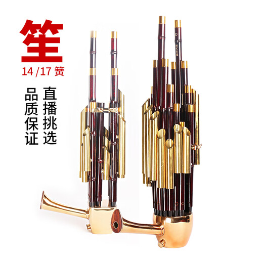 Qi ist 17 Frühling 14 Frühlingsverstärkungs-Musikinstrumente, Runde Sheng Square Sheng Kultivierungsinstrumente Sheng Bag Anfänger 17 Springverstärkungs-Musikinstrumente (lila Bambus weiße Röhre) -D-Melodie