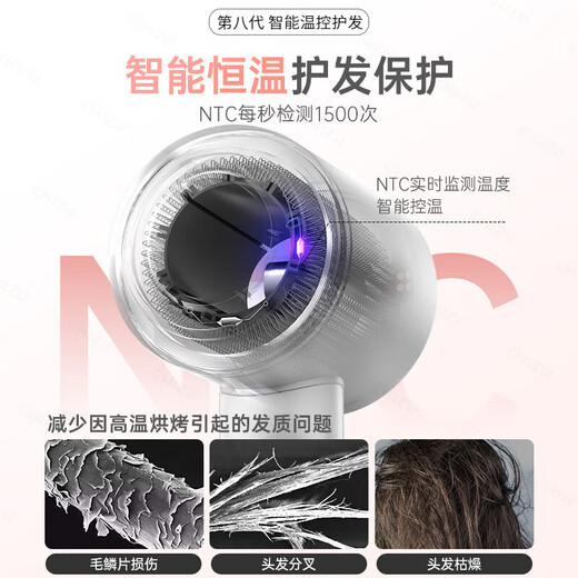 RASW German hair dryer household silent negative ion high power non-harming hair care leafless hair dryer quick drying portable styling hotel hair salon gift to girlfriend and wife sunset rose single air nozzle intelligent temperature control negative ion hair care new upgrade