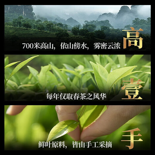 Song Phoenix Chaozhou Phoenix Shan Shan Special High Mountain Oolong Tea Duck Duck Sweet Single Series Customized Tea Tea Ceremony Phoenix Duck Duck Shutter Fragrance-Black Can 100g