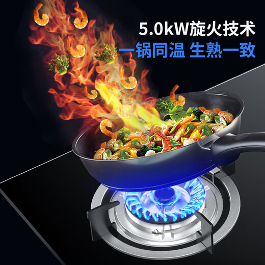 火王（Hione）燃气灶天然气双灶 5.0kW猛火液化气煤气灶 防风旋火台式嵌入式一级能效节能灶W01L/B W01L/B(5.0kW/天然气12T）