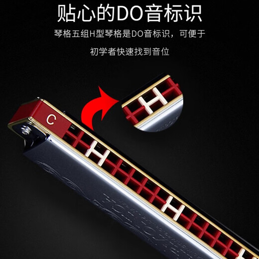 百诺日本原装进口铃木24孔复音口琴C调学生成人初学专业演奏级乐器 铃木黑色F调
