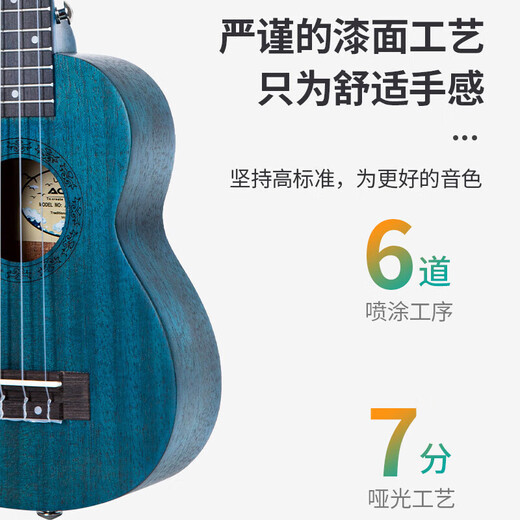 奥德斯克（AODSK）AUS-P06GR尤克里里乌克丽丽男女学生儿童入门21英寸小吉他绀碧色