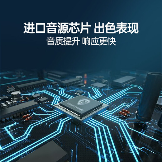 Terence electronic keyboard for adults and children with 61 keys, multifunctional portable musical instrument for beginners, holiday gift, classic black + Z-shaped piano stand + luxury gift bag