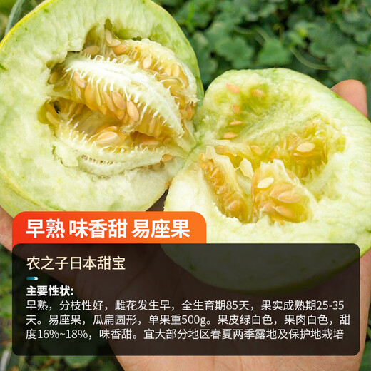 Nongzhi R Ben Tianbao melon seeds honeydew melon Fuji Tianbao melon seeds 10gx2/half acre of land