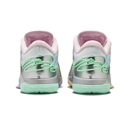 耐克（NIKE）男鞋LEBRON运动鞋篮球鞋FZ1098-100 FZ1098-100 40.5 (200mm)