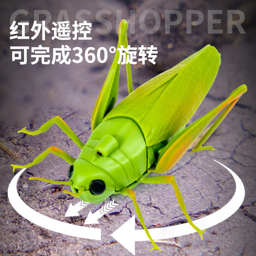 
Creation techniques remote control grasshopper electric toys little boys and girls Internet celebrity simulation can move insects, reptiles, small animals, children's pranks [Classic version - remote control centipede] Yellow and black model 9901+ screwdriver, equal size