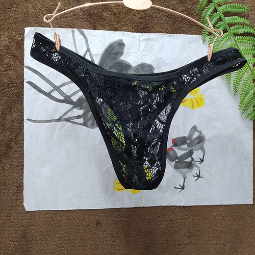 Long Night Adult Men's Erotic Underwear Abnormal Lace Transparent Thong Thin Sexy Interesting White L