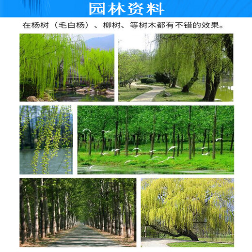 Senhuo Yifa Lin gibberellic acid inhibits willow tree flowering, catkins prevention and treatment of flying catkins, one-insert net growth regulator