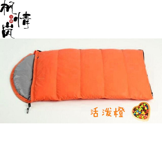 Hewu (HEWU) Hewu down sleeping bag outdoor thickened children's sleeping bag primary school students indoor lunch break outdoor camping autumn and winter goose down 18 degrees or so goose down 300 grams