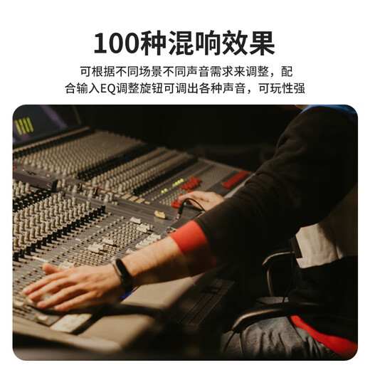 Ailip T10PLUS audio built-in sound card live broadcast internal recording home outdoor portable karaoke instrument singing electric blowpipe saxophone guitar bluetooth high-power speaker official flagship T10plus black standard