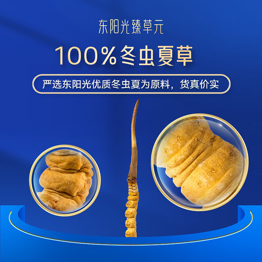 Dongyangguang Cordyceps reine Extrakt-Lutschen [Geschenkbox gäßen] Hochwertige Cordyceps High-End-Geschenke drei Kisten