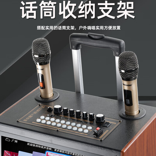 Temeisheng QX15-65H outdoor square dance video audio karaoke Bluetooth high-power with display screen song request mobile trolley speaker karaoke singing home performance Bluetooth speaker QX15-65+dual U-segment wireless microphone+gift package