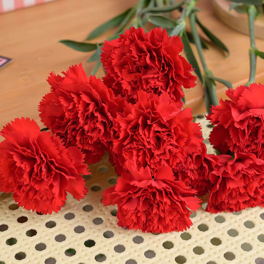 Mother's Day gift: 10 single-headed carnations in random colors