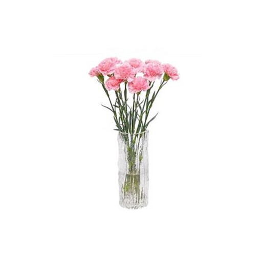 Mother's Day gift: 10 single-headed carnations in random colors