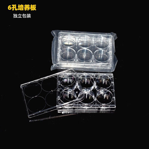 6/12/24/48/96/384孔细胞培养板细菌培养板实验室酶标板包装 康宁24孔培养板(3524)