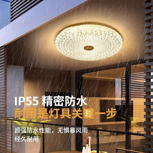 禾灵全铜超薄户外阳台吸顶灯别墅楼梯大门口入户门前灯防水露台庭院灯 X3895/宽40CM/三色可调