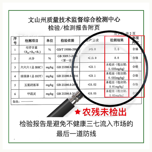 Panax notoginseng Yunnan Wenshan Panax Notoginseng Sélection du printemps Panax NotoginSeng 15 têtes 37 Ten Tian 500G Tianqi Powder Yunnan Panax Notoginseng 10 ans