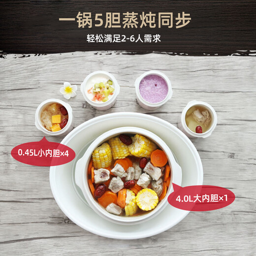 TONZE electric stew pot, electric stew pot, water-proof stew pot, soup pot, soup pot, porridge health pot, porridge pot, steaming and stew all in one, white porcelain 5-gallon DGD40-40DWG 4L