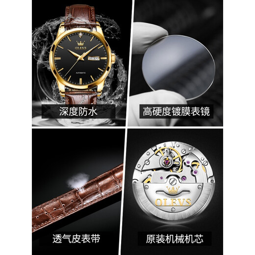Top 10 European Waterproof Men's Watches Swiss Mechanical Watch de alta gama 2025 Nuevas marcas Top Top Watchs Men's Men's Bottom Belt 6629 Brown Leather Room Black Men's Watch