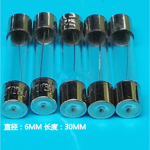 XMSJ玻璃管保险丝 F1 F2 F3  F5 F6 F10250V 5*20MM F1250V  100个 6X30 长3厘米  F 快熔